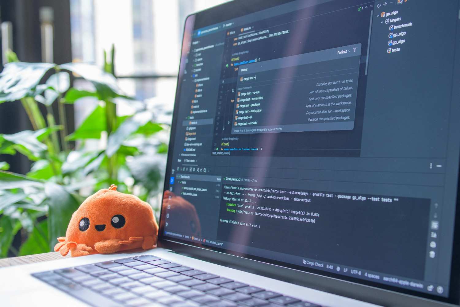 Software Development